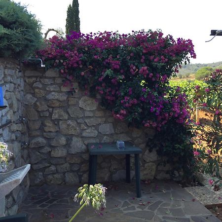 Studio-Appartment In Landhaus Mit Meerblick Porto Azzurro Eksteriør bilde