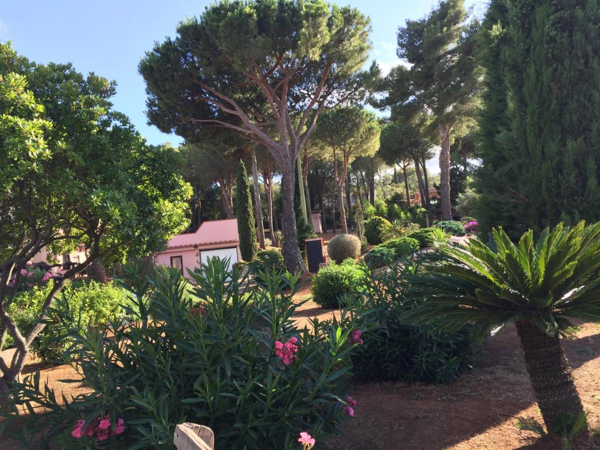 Studio-Appartment In Landhaus Mit Meerblick Porto Azzurro Eksteriør bilde